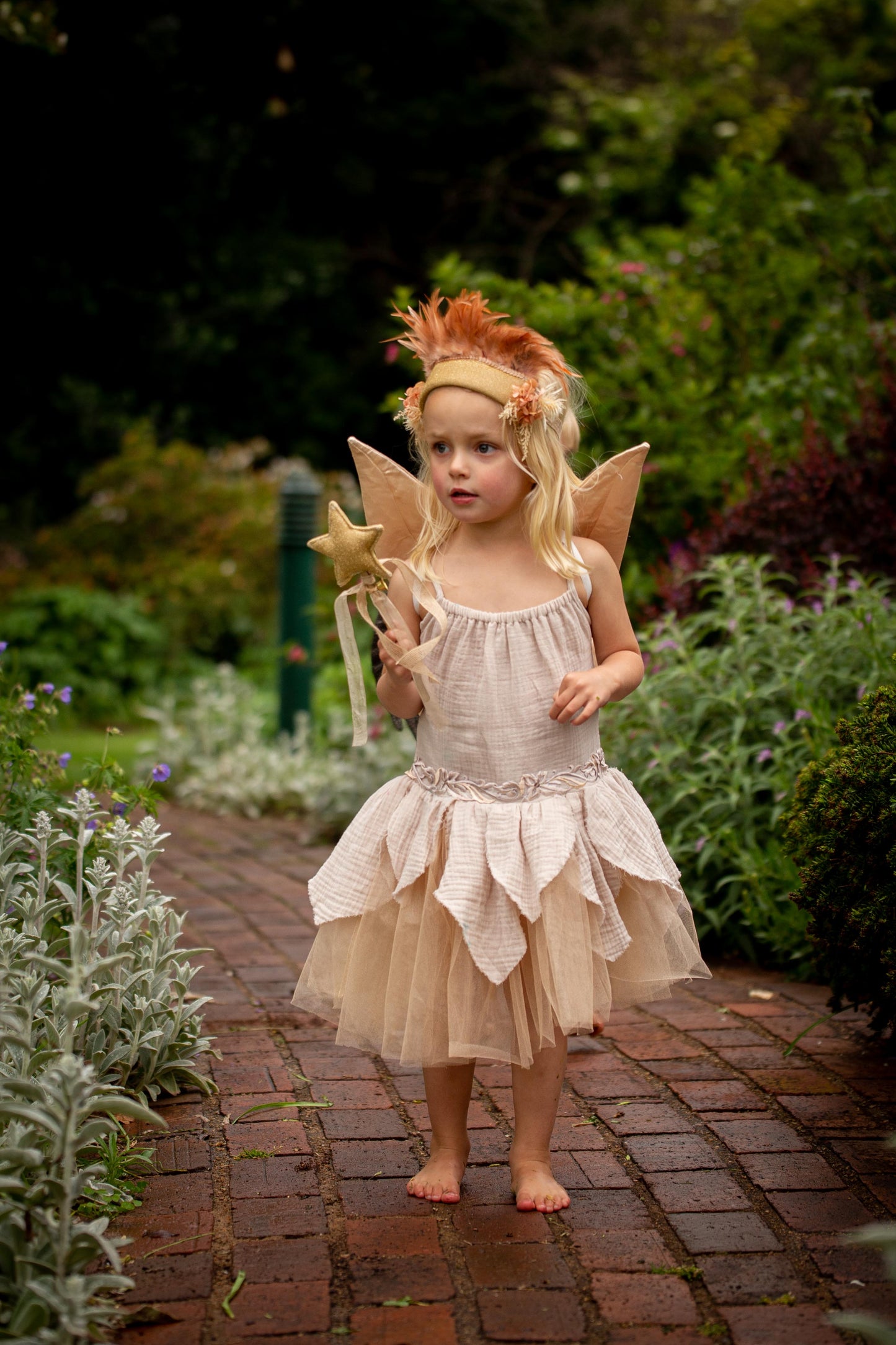 Rose Petal Fairy