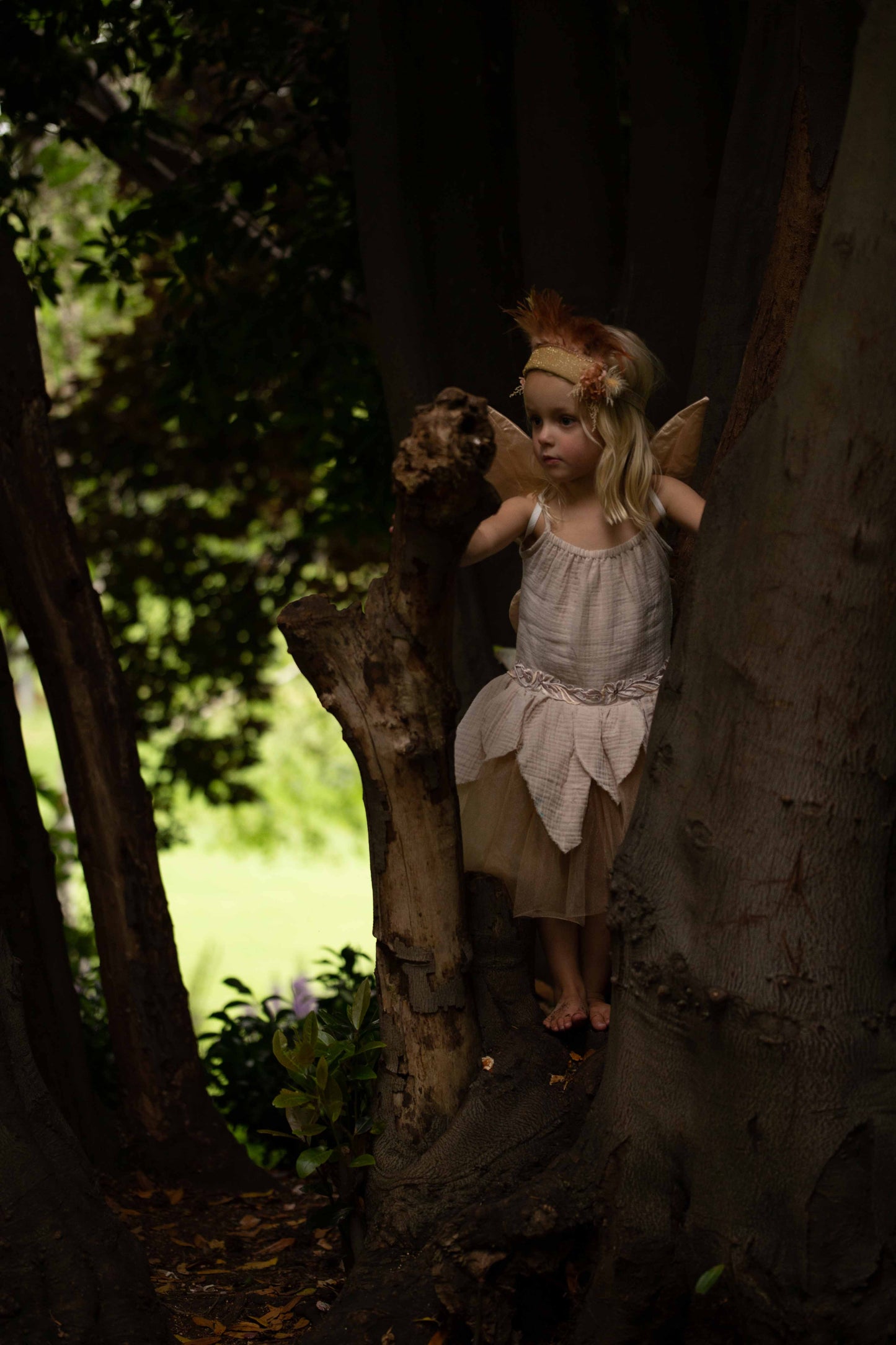 Rose Petal Fairy