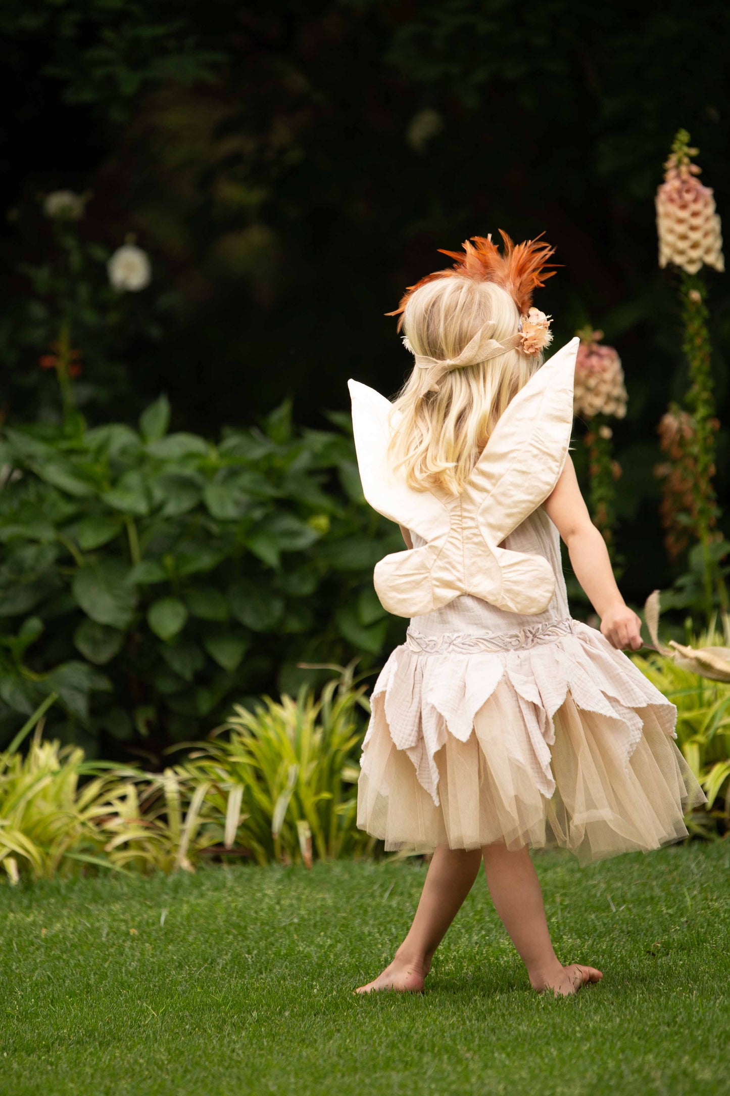 Whimsical Fairy Wings
