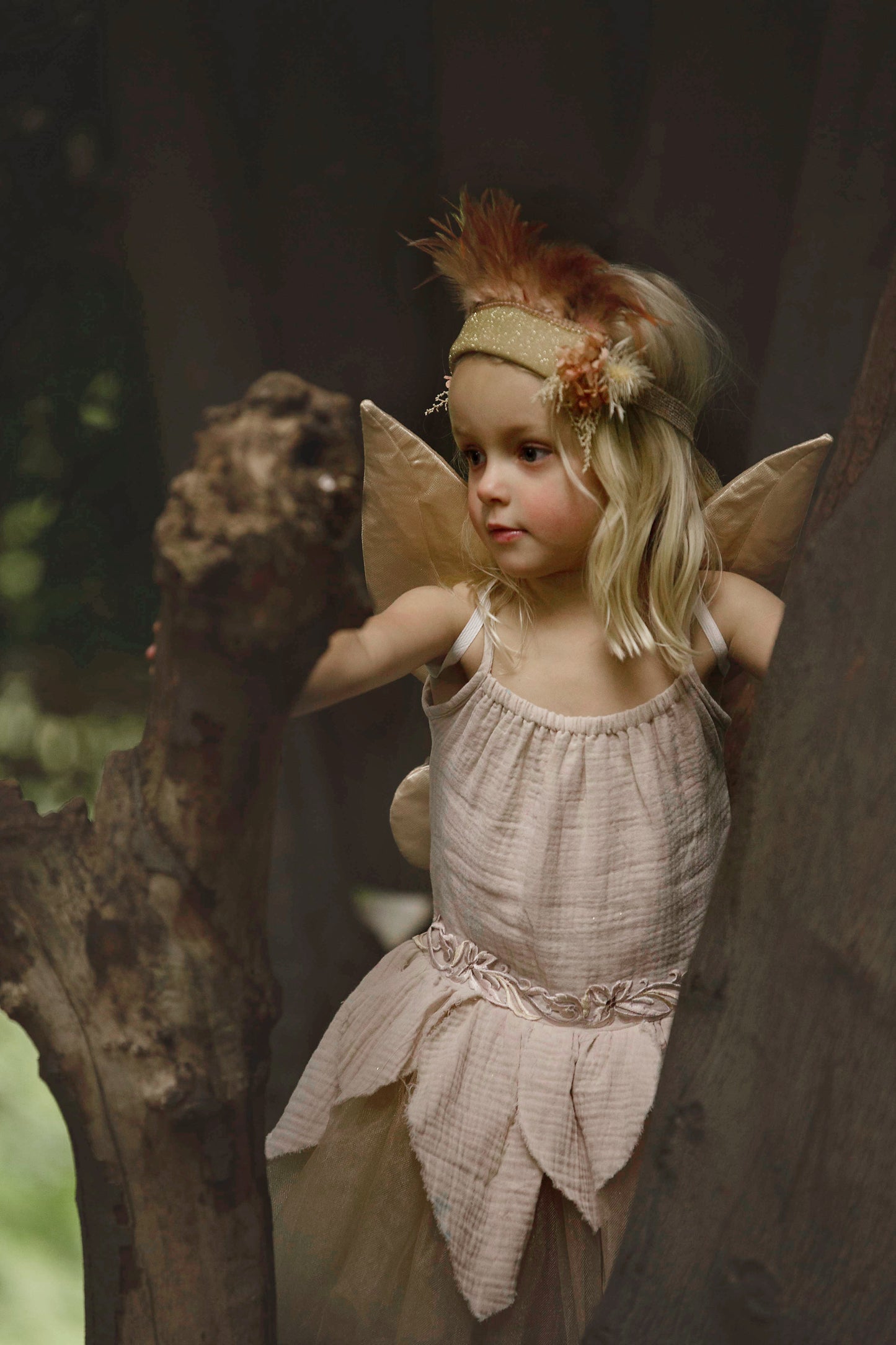 Feather Crown & Wand - Blush