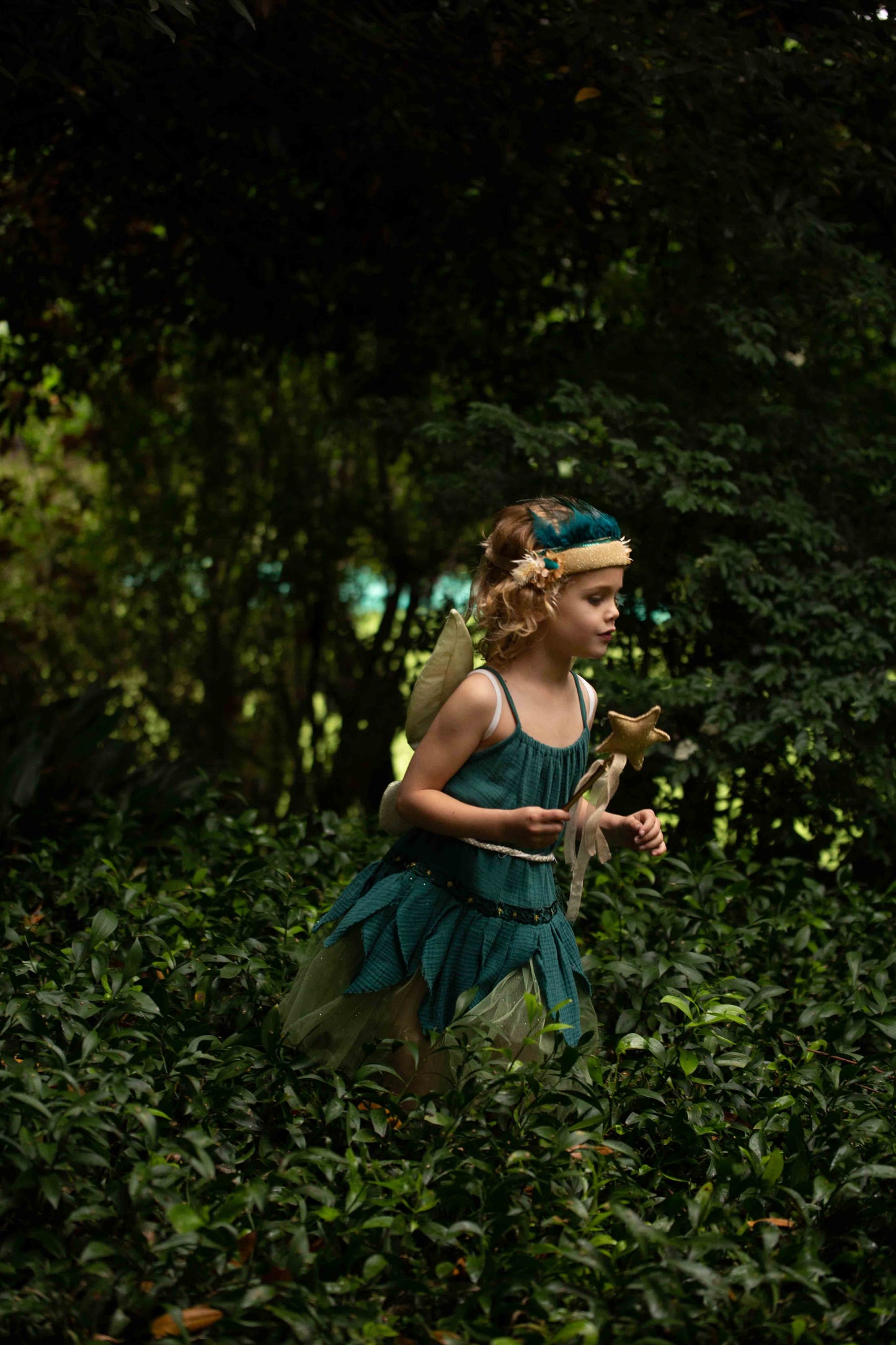 Forest Petal Fairy