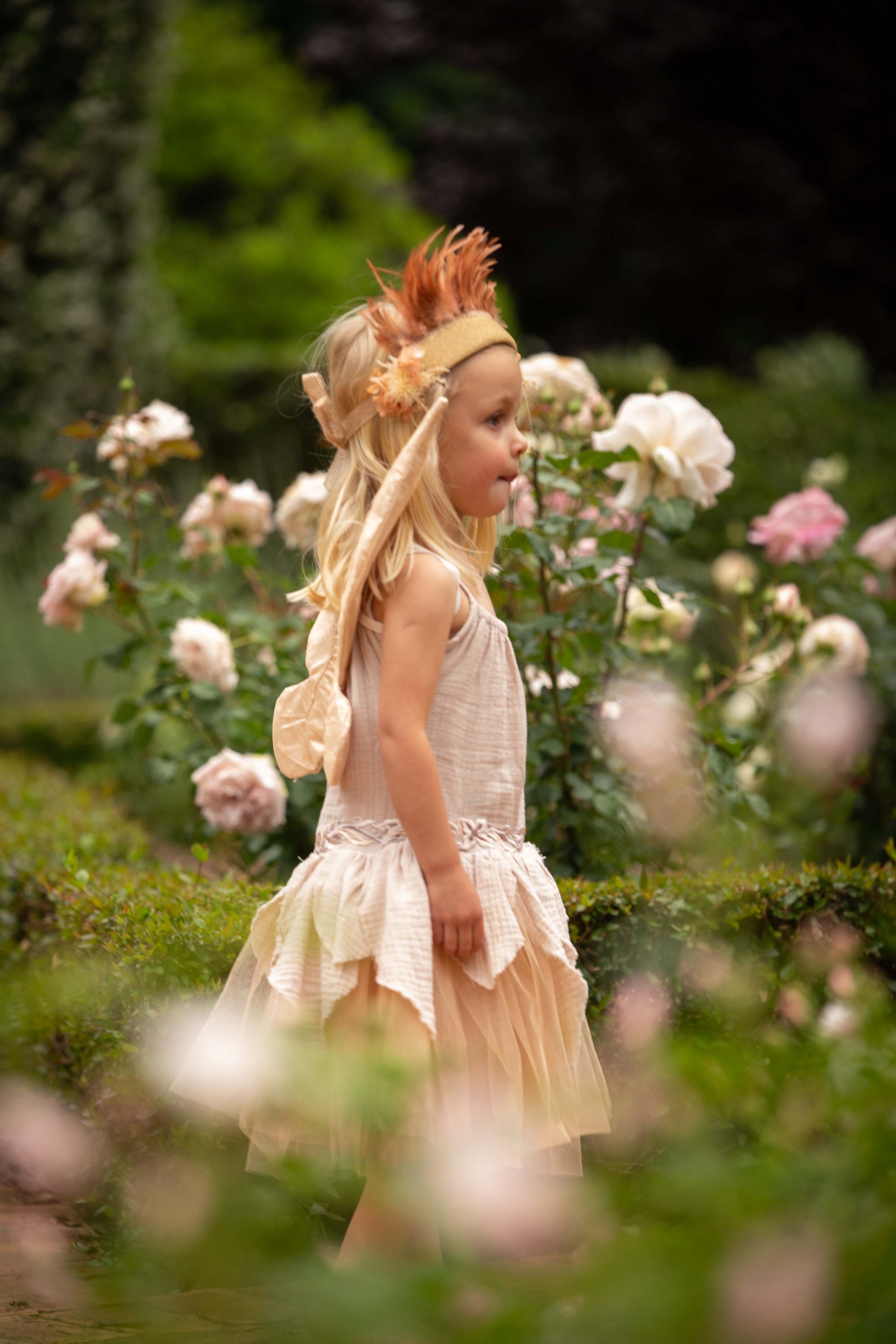 Rose Petal Fairy The enchanted child store Rose Petal Fairy The enchanted child store